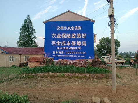 眉县墙体广告为何受追捧？