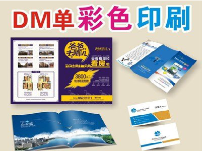 眉县单页印刷，色彩搭配简单。